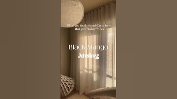 Here’s our top 3 Canva fonts that give “luxury” vibes #canvafonts #contentcreatortips2023