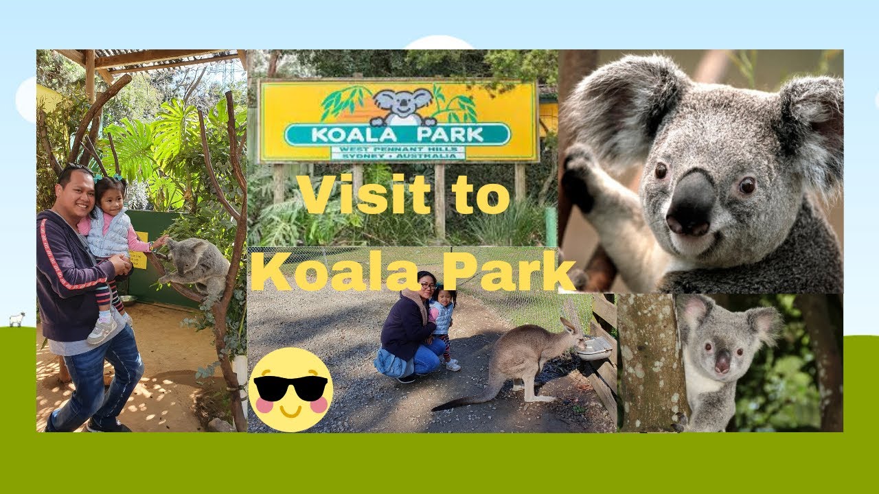 koala tours aupark