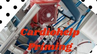 Priming ECMO circuit