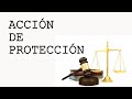 SIMULACIÓN DE AUDIENCIA DE ACCIÓN DE PROTECCIÓN