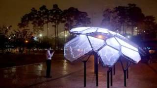 ÁRBOLES DE LUZ Arbol Seco Con Luces