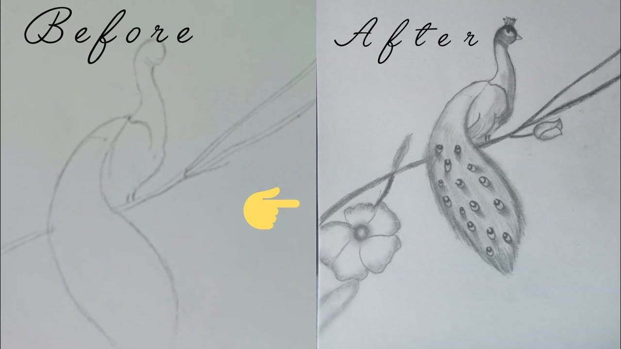 How to draw peacock 🦚//Pencil drawing//Easy drawing//Drawing for ...
