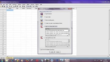 SPSS for Beginners - How to Enter Variable 1