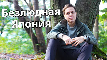 Безлюдная Япония. В лесах Сидзуоки и 1000 журавликов из оригами