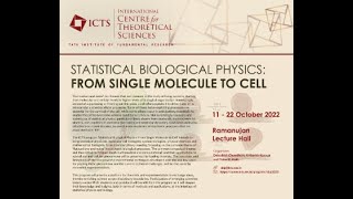 Stochastic Gene Expression in Eukaryotic Cells by Masaki Sasai