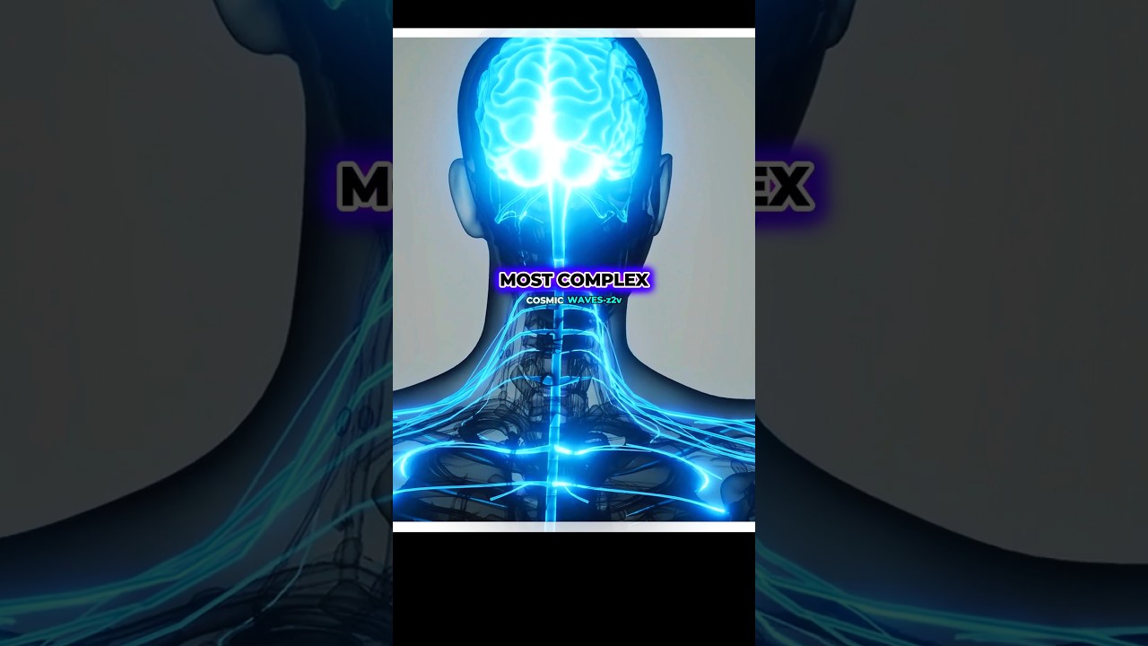 Michio Kaku: Why AI Still Can’t Match the Human Brain