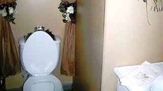 4211 Poppy Rd video tour