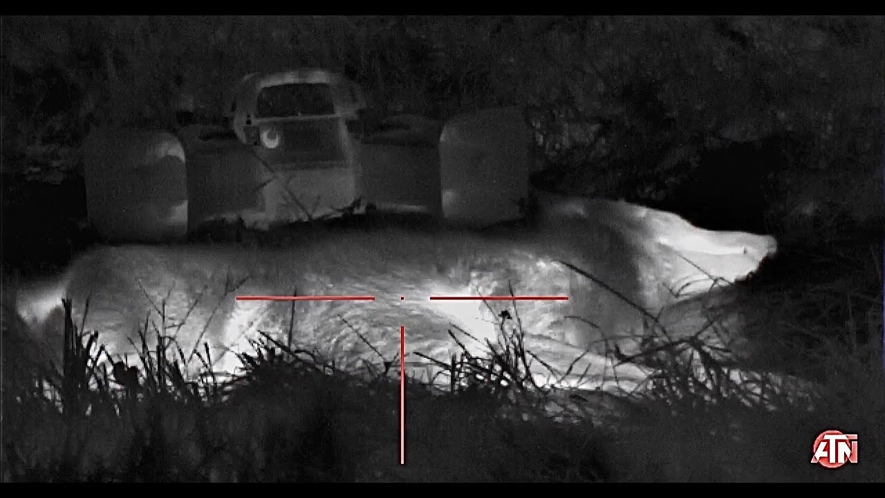 Coyote Hunting THERMAL IMAGING Season 4 Ep. 5 YouTube