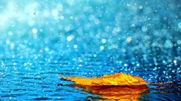 آيات عطرة من الذكر الحكيم بصوت خاشع .