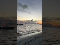 Very soon there will be a new YouTube video #shorts #seychelles #vlog #trippinbirds