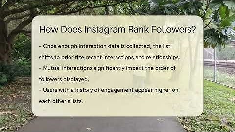 How Does Instagram Rank Followers? - Everyday-Networking