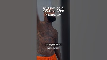 Surah As-Sajdah (Prostration) 17-18 | Urdu | Hindi Audio Translation |  سورة السجدة