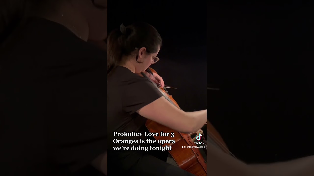 Night in my life as a Professional cellist: Opera Edition