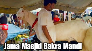 Jama Masjid Bakra Mandi 2023 Delhi | Gangapari Becomes Most Premium Goat Breed