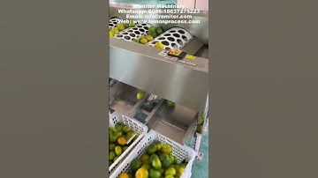 Automatic Lemon Size Grading Machine