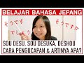 APA ARTI SOU DESU, SOU DESUKA, DESHOU (Belajar Bahasa Jepang)