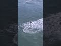 Drone Fishing Adventure: Catching Fish &amp; Epic Drone Shots #shorts