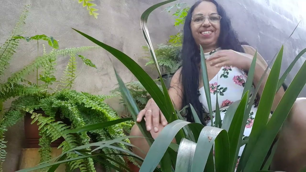 Vídeo novos no canal galera espero que gostem 😅 🔥🔥