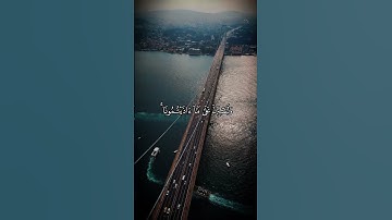 #القارئ اسلام صبحي