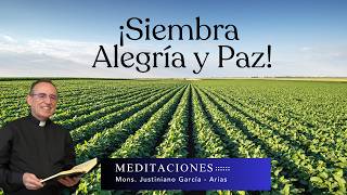 Cultivando Alegría y Paz en Tiempos Difíciles
