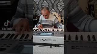 Taleh Laçın A Daglar Resimi
