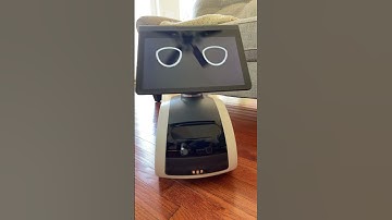 Astro, act like a mule #robot #astro #amazongadgets