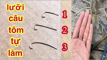 Làm Lưỡi Câu Tôm Siêu Nhạy Bắt Được Tôm To Tôm Tôm Nhỏ Mùa Tôm Về @Xuanthuong91