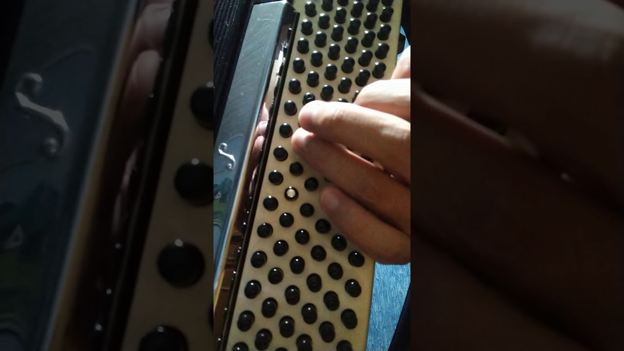O que tem a rosa - Versão Simplificada - Acordeon/Sanfona