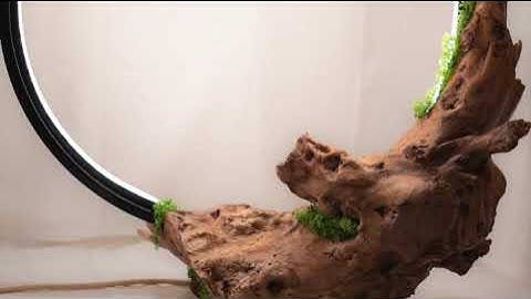 woodengraver in 180 secs