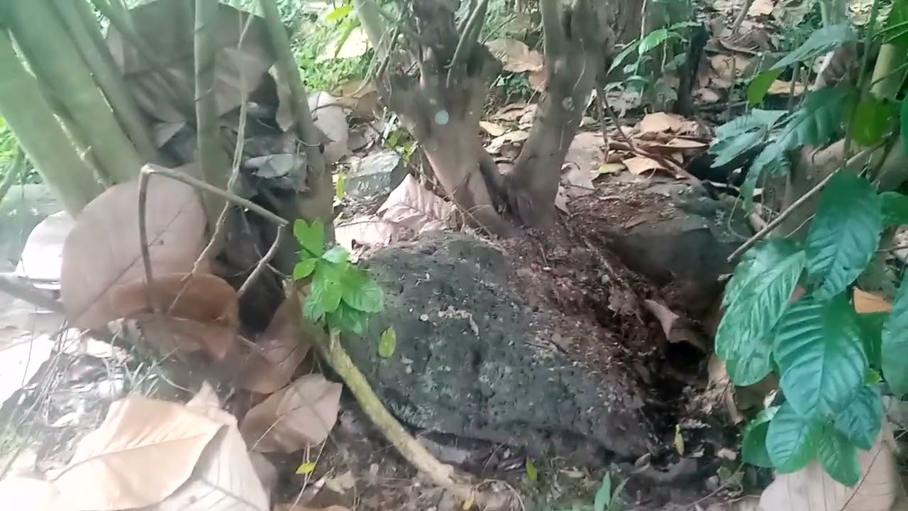 Box marker Remapping