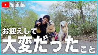 犬をお迎えする前にみてください。 by はやしょー 19,870 views 9 months ago 10 minutes, 17 seconds