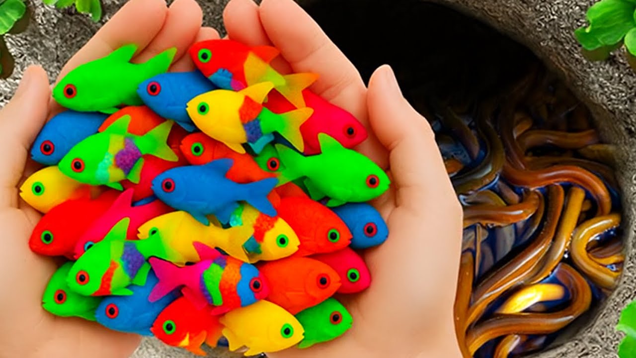 Невероятный улов: разноцветные аквариумные рыбки в маленьком пруду, детеныши черепах, карандашные...