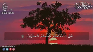 رحلة حفظ القران | الصفحة 28 - سورة البقرة الايات 186-182 مكررة سبع مرات لتسهيل الحفظ بصوت محمد هشام