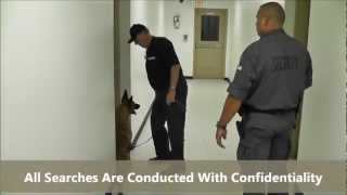 CANCOM SECURITY K9 DETECTION DOGS