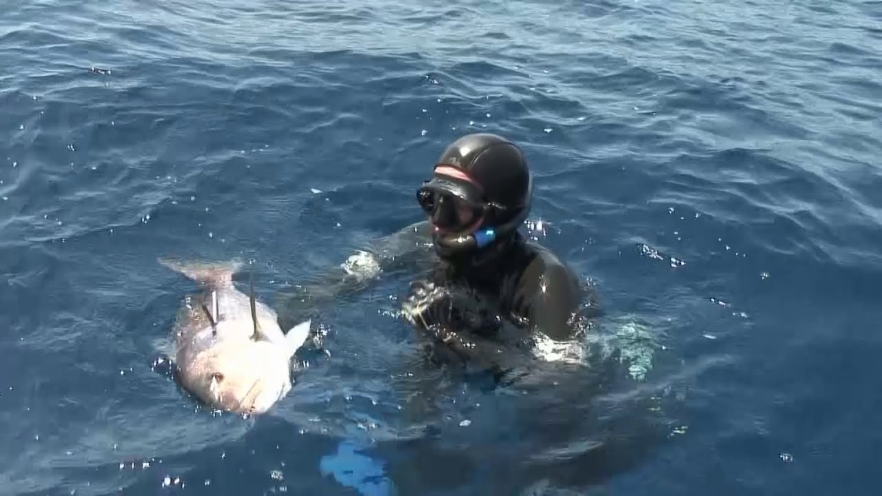 CHASSE SOUS-MARINE en Corse
