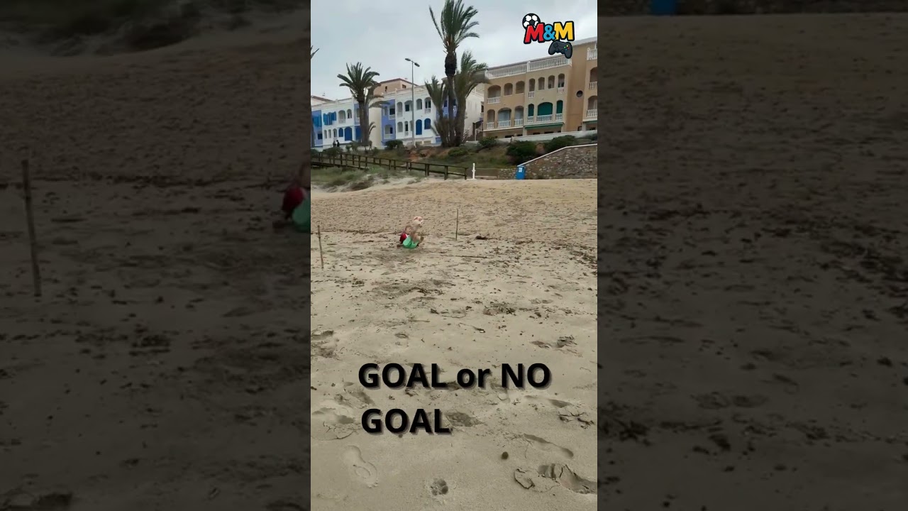 VAR? We need help! 🤯