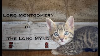 Lord Montgomery of the Long Mynd: The Bengal X Kitten