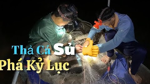 Một đêm thả cá Sủ Phá Kỷ Lục gần 20 năm trong nghề Bà Cậu anh trọng mới thấy cảnh này | Cldv #486