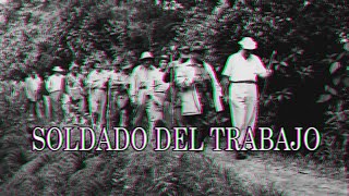 Soldado del Trabajo