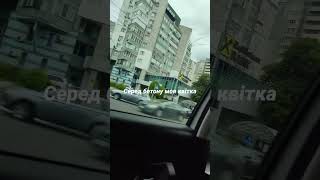 #виднагород