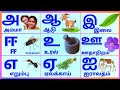 அஆஇஈ/உயிரெழுத்துக்கள்/Uyireluthukkal/Tamil Alphabets for kids @PEEKABOO-ff8wq #uyireluthukkal 