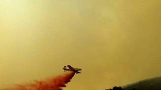 zaca fire