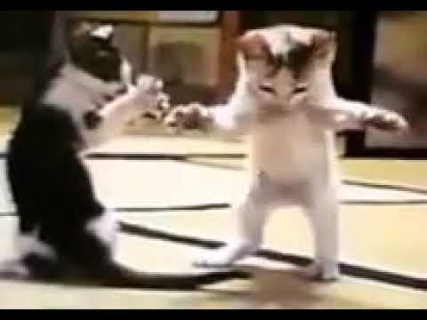 مين حبيب بابا