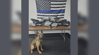 Henry Co. Sheriff's Office K-9 completes first drug bust
