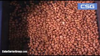 Peeled Peanut Color Sorter / Peeled Peanut  Optical Sorting Machine - (www.ColorSorterGroup.com)