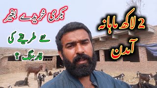 Earn 1 to 2 Lac Monthly By This Type Of Farming - Goat Farming Buisness