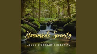 Nature's Streamside Serenade
