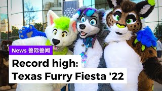 Post-Covid, Furry Convention Sees Highest Turnout