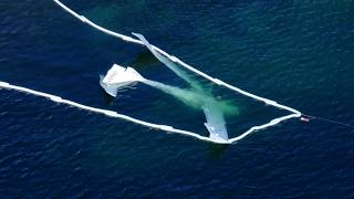 New Hampshire man identified as pilot killed in Maine plane crash
