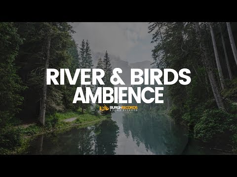Nature Sound Effects Birds & Water Sounds (Free Download)